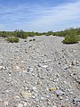 Dry desert wash stream bed