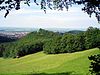 View from the Kühnenkopf to the hill of Harburg with Wernigerode Castle on the Burgberg in the background