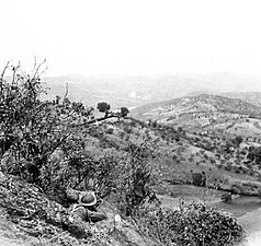 Mahratta sniper on south bank of Trigno, 1943