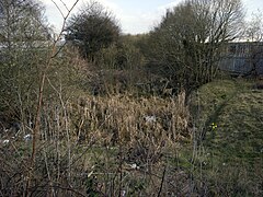 Pensnett Canal dry