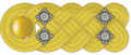 ”Colonel general” in the rank of “Generalfeldmarschall“