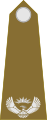 Major (South African Army)[80]