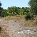 Habitat in Portugal