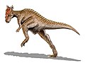 Dracorex