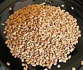 Fenugreek seeds.