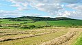 The Craigs of Kyle and the site of Kerse Cottage