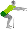 A body weight squat with no added weights allows legs to be warmed up, creep may be induced in the cartilage and muscles to prepare for intense exercise.