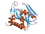 1ore: Human Adenine Phosphoribosyltransferase