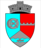 Coat of arms of Hănești