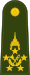 泰国陆军元帅肩章