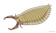 Parioscorpio venator is an engimatic species of arthropod from the Waukesha Biota.