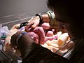 Baby in a warming tray