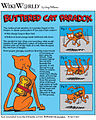 Buttered cat paradox