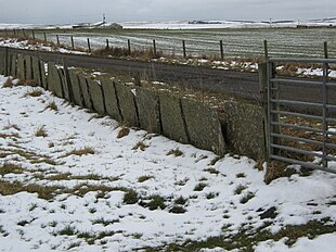 Caithness flagstone fencing