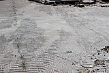 Complex ripple marks on Cambrian tidal flat at Blackberry Hill, Wisconsin.