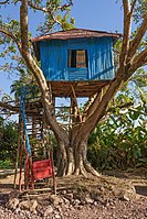 A tree house in Bahir Dar, Ethiopia