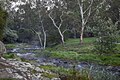 Merri Creek at Lake Reserve Coburg in April 2021