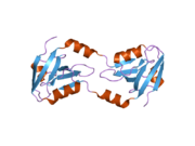 2he2: Crystal structure of the 3rd PDZ domain of human discs large homologue 2, DLG2