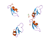 2nlh: Human beta-defensin-1 (Mutant GLN24ALA)