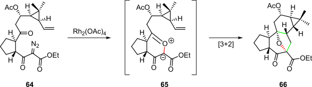 Scheme 13. Rhodium(II)-carbenoid-initiated cascade in the synthesis of a tigliane