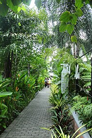 Garden beside the Anniversary Hall