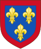 Coat of arms of Anjou