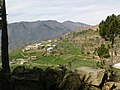 A view of Asharo Sar village in Martung Tehsil