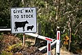 Image 36This Australian road sign uses the less common term "stock" for livestock. (from Livestock)