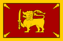 康提王国皇家旗