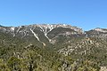 Mummy Mountain (Nevada)