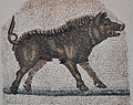 Boar detail from an Orpheus mosaic