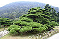 Landscape in Ritsurin Garden