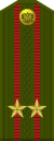 Lieutenant Colonel