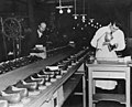 Assembly line in a French shoe factory (1948)