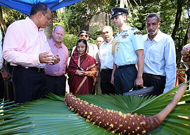The Indian President, Pratibha Devisingh Patil visits the Botanical Garden, at Seychelles on May 01, 2012.