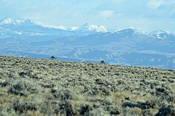 Wind River Range