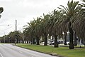 Mount Alexander Road, Essendon