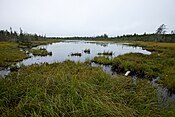 that string bogs are associated with periglacial climates?