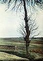 The lonely cross and charred tree were used by Courtellemont for dramatic effect.