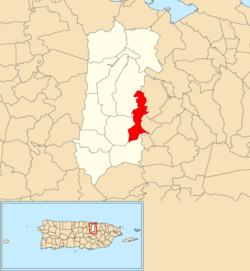 Location of Guaraguao Abajo within the municipality of Bayamón shown in red