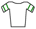 Jersey white greenstripes.PNG