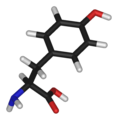 L-Tyrosine