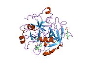 1zrb: Thrombin in complex with an azafluorenyl inhibitor 23b