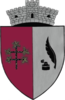 Coat of arms of Drăguș