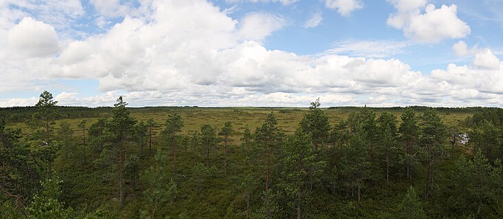 Vajosuo swamp area in Kurjenrahka National Park in Finland Proper, Finland.