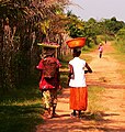 Carrying fruit in Basankusu.