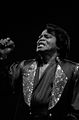 James Brown, himself, "Bart's Inner Child"