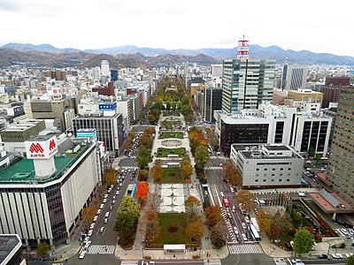 马拉松和竞走项目的起点和终点均位于札幌大通公园