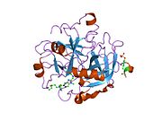 1kts: Thrombin Inhibitor Complex