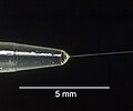 Close-up of the Electrospinning process of a polyvinyl alcohol